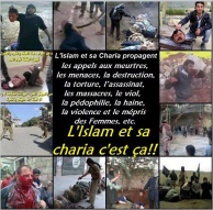 islam charia violence (plusieurs images et texte)