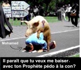 Islam cochon encule